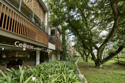 Parksuites (D10), Apartment #573591541
